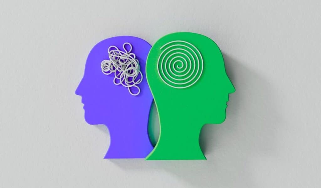 two heads back to back showing a disorganized brain and an organized brain